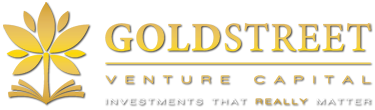Fundo de investimento Capital Venture GoldStreet